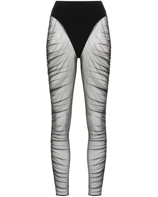 Maison Close Gray Nuit Fauve Leggins