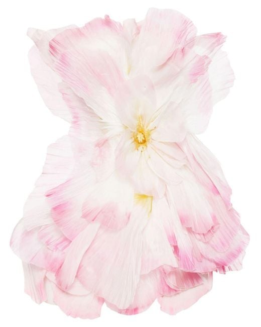 Vestido corto con aplique Petal Oscar de la Renta de color Pink