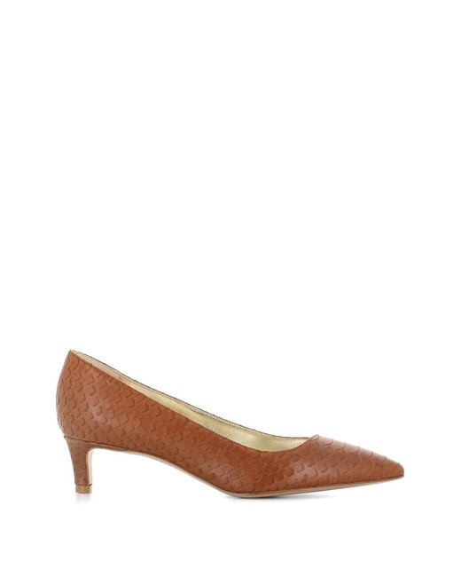 Antonio Barbato Maestri Veneziani Brown Pointed Pumps