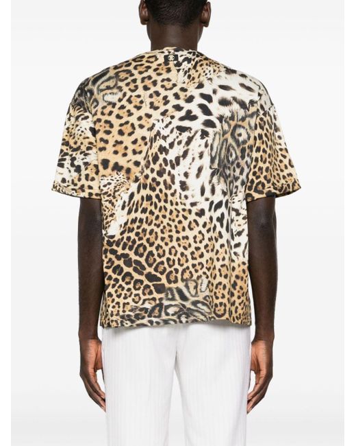 Roberto Cavalli White Jaguar-print Cotton T-shirt for men