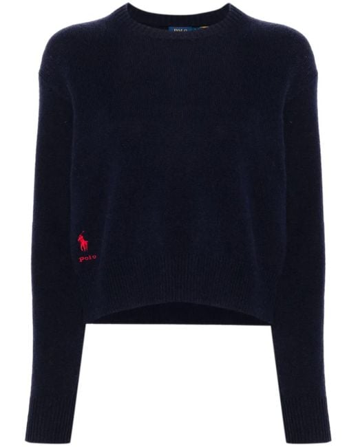 Polo Ralph Lauren Blue Polo Pony-Motif Sweater