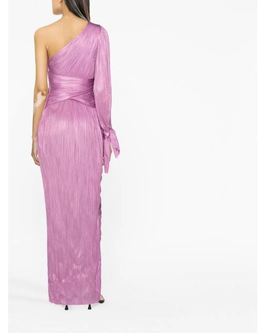 Maria Lucia Hohan Palmer プリーツイブニングドレス Purple