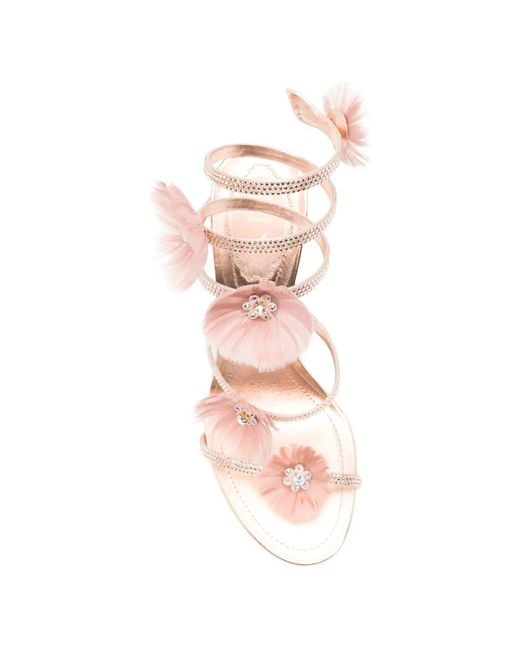 Rene Caovilla Pink Jolenefloral-Embellished Sandals