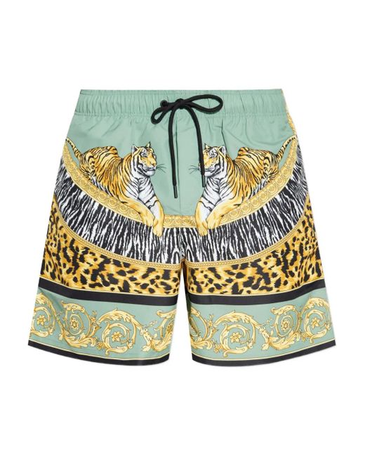 Versace Shorts Met Tijgerprint in het Green voor heren