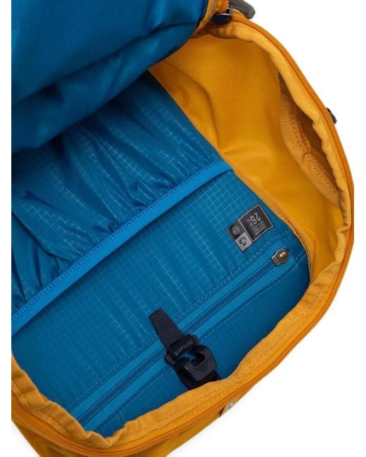 Gregory Yellow Jade 24 Backpack