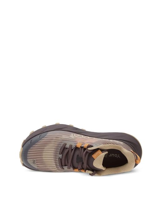 NNormal Brown Cadí Sneakers