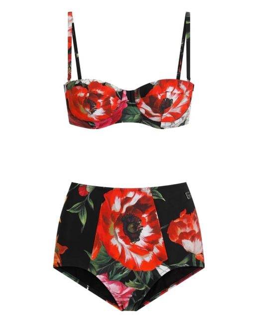 Dolce & Gabbana Black Balc.Imb+Guaina
