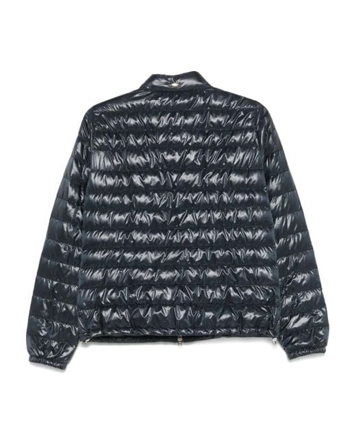 Herno Black Padded Jacket