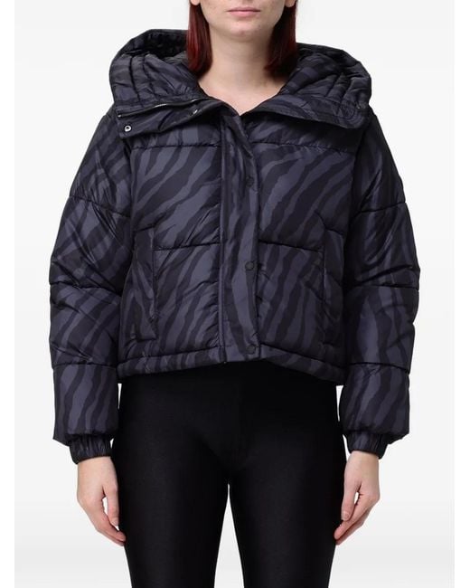 Save The Duck Blue Rhiannon Zebra-Print Puffer Jacket