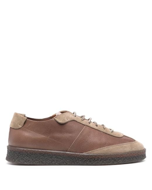 Buttero Brown Crespo Leather Sneakers for men