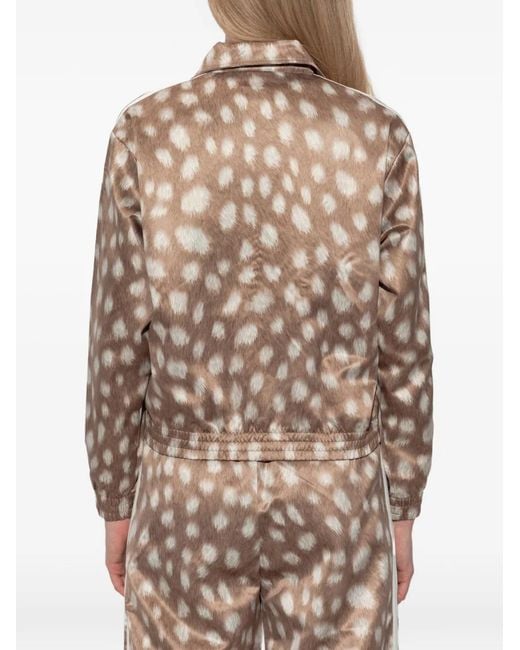 Adidas Natural Veste Zippée À Imprimé Animalier