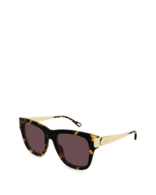 Chloé Black Holly Tortoiseshell-Effect Square-Frame Sunglasses