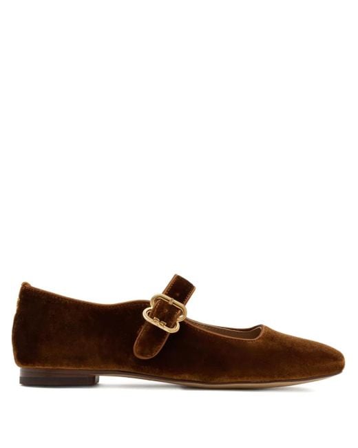 Sam Edelman Brown Michaela Ballerinas