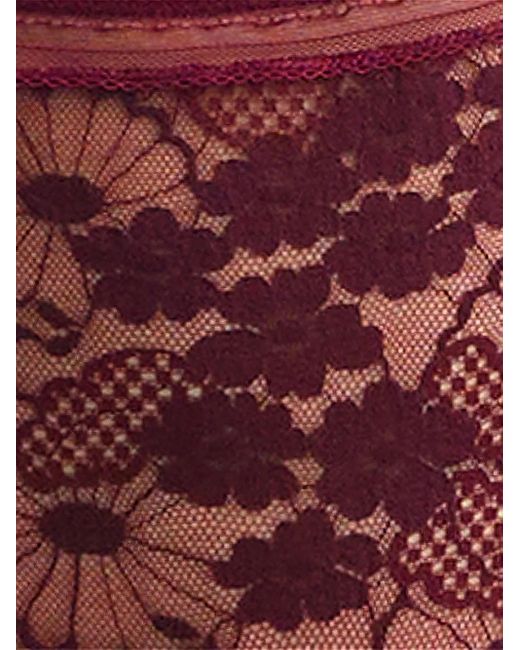 Eres Purple Figue Floral-Lace Bra