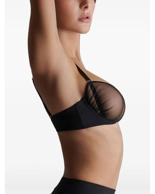 Scandale Black Nuit Fauve Mesh-Panel Bra