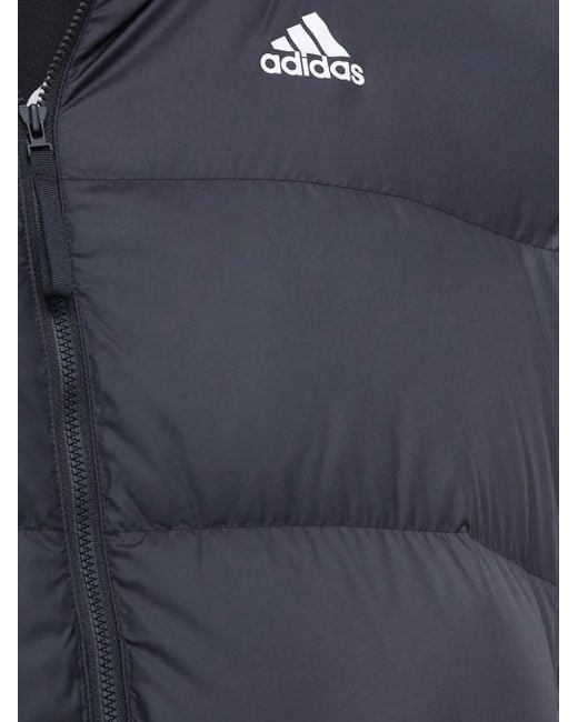 Adidas Blue Three-Stripe Padded Jacket for men
