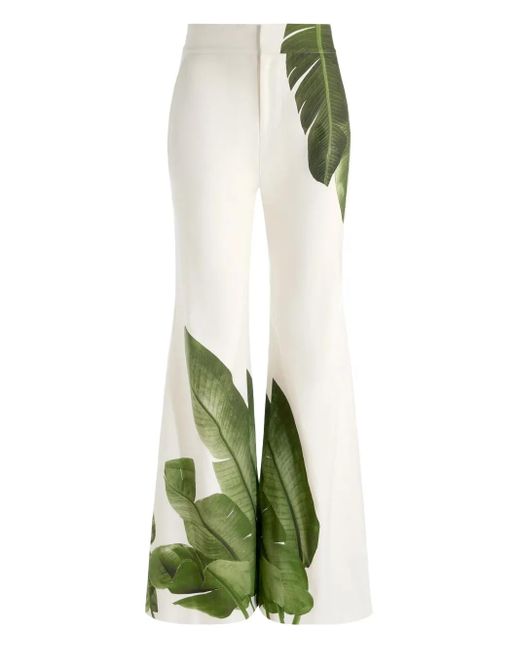 Alice + Olivia Dylan Broek in het White
