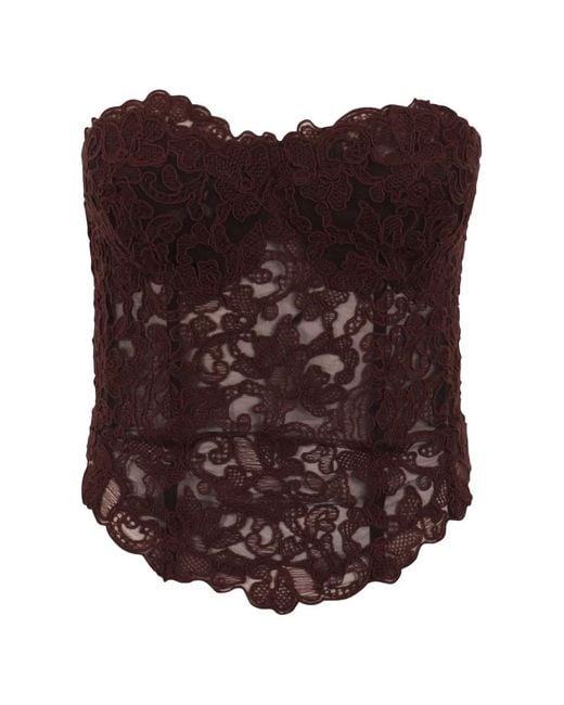 Ermanno Scervino Brown Haut-Bustier À Dentelle Brodée