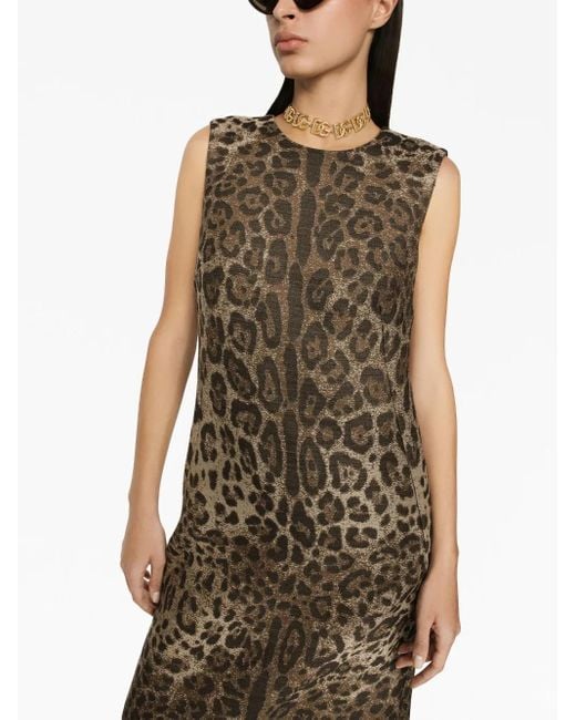 Dolce & Gabbana Brown Leopard Print Wool Mini Dress