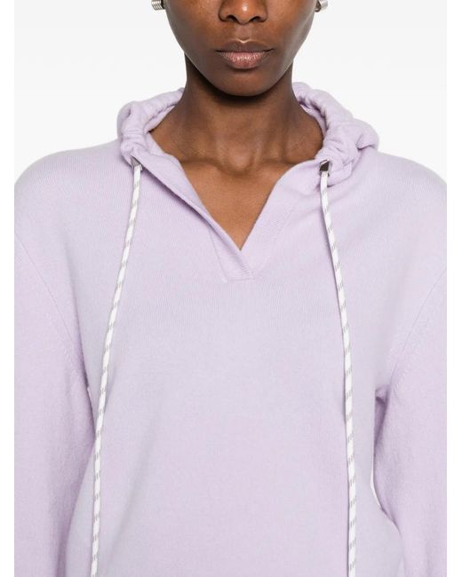 Dorothee Schumacher Pink Modern Statements V-Neck Hoodie