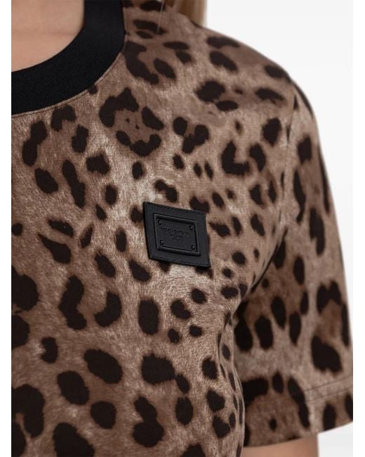 Dolce & Gabbana Brown Leopard-Print T-Shirt