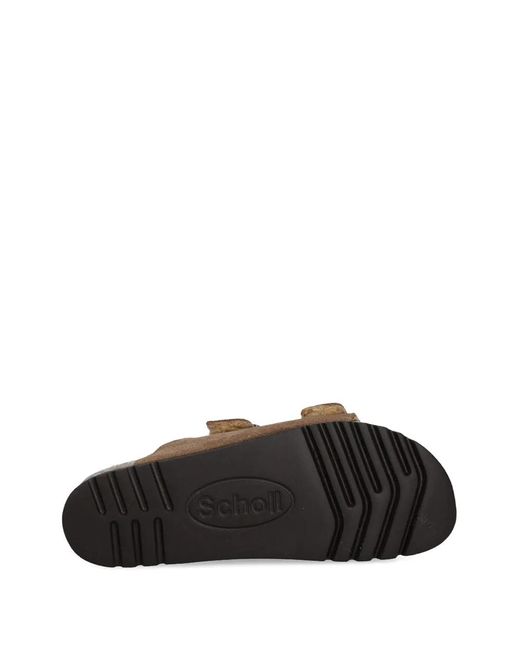 Scholl Brown Sandales Josephine À Boucle