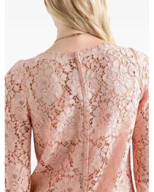 Dolce & Gabbana Pink Cordonetto Lace Mini Dress
