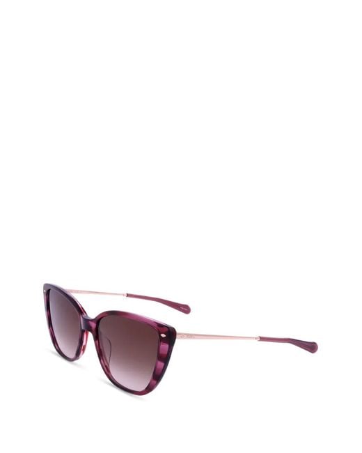 Lunettes De Soleil À Monture Papillon Fossil en coloris Red