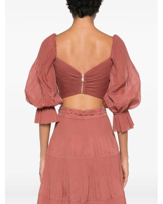 Zimmermann Geplooide Top in het Red