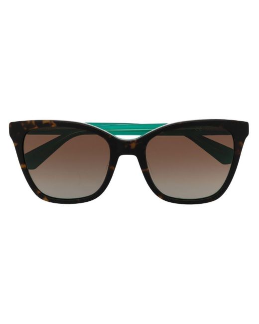 Kate Spade Desi Butterflyframe Sunglasses in Brown (Black) Lyst