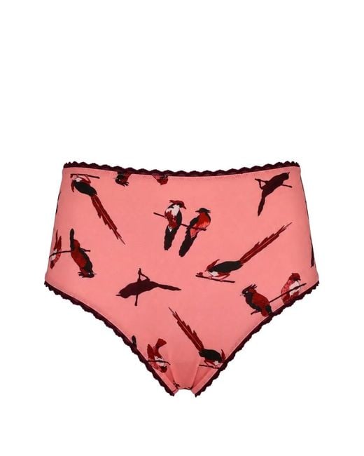Laura Urbinati Pink Culotte Imprimée À Taille Haute
