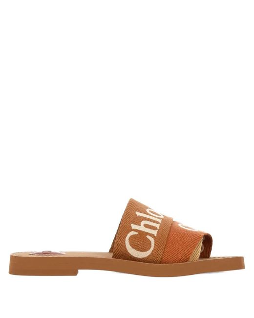 Chloé Brown Sandals