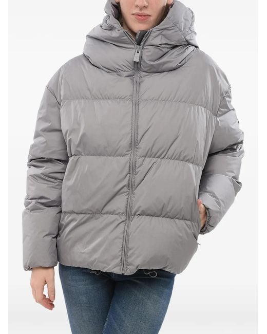 Bacon Gray Hooded Puffer Jacket