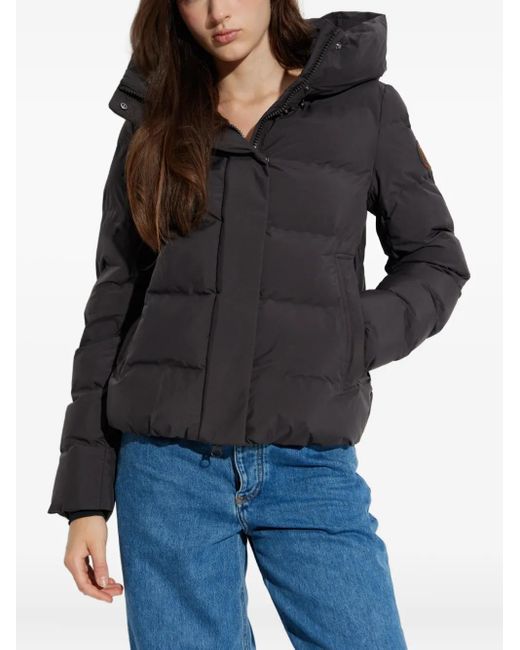 Save The Duck Gray Arena Hooded Puffer Jacket