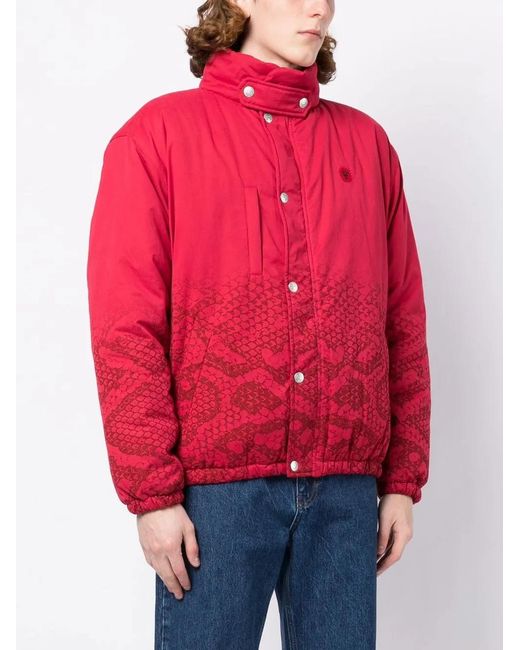 ICECREAM Red Snakeskin-Print Padded Jacket for men