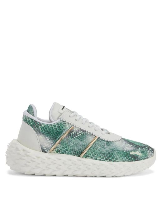 Giuseppe Zanotti Urchin スニーカー Green