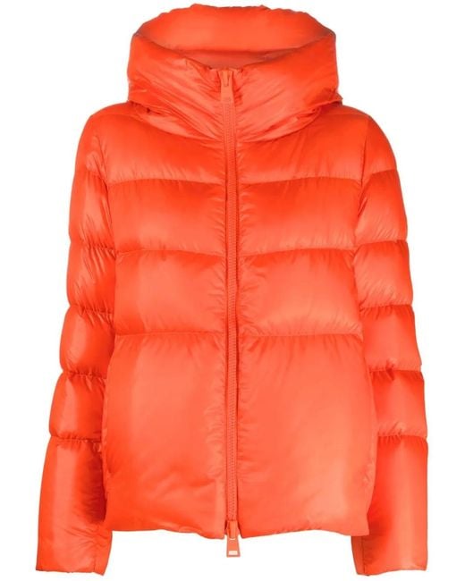 Herno Orange Zip-fastening Padded Jacket