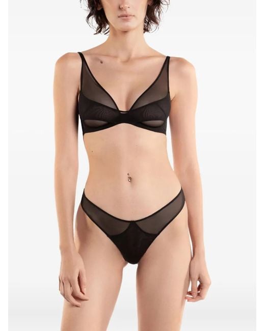 Zhilyova Black Asteria Mesh Briefs