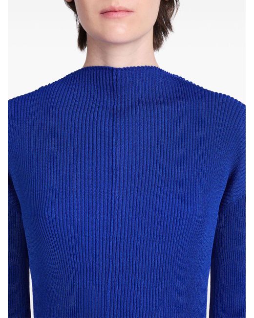 Proenza Schouler Blue Mock-neck Ribbed Sweatshirt