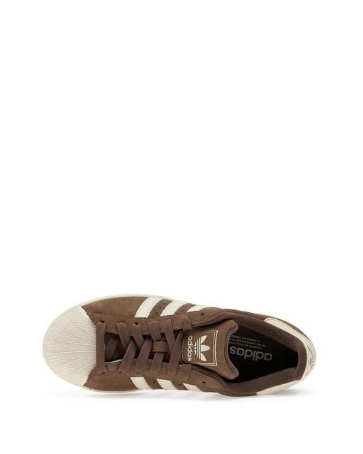 Adidas Brown Superstar Ii Suede Sneakers