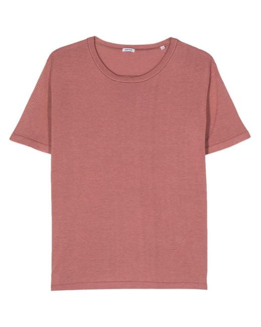 Aspesi Pink Side-slit Striped T-shirt