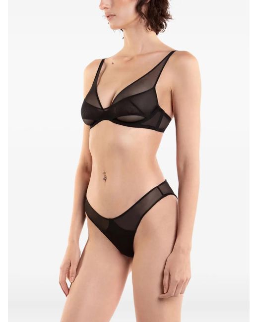 Zhilyova Black Asteria Mesh Briefs