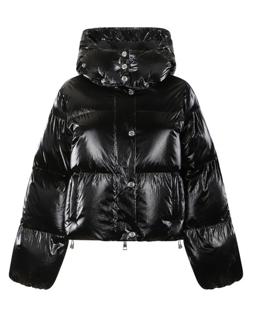 Elisabetta Franchi Black Hooded Puffer Jacket