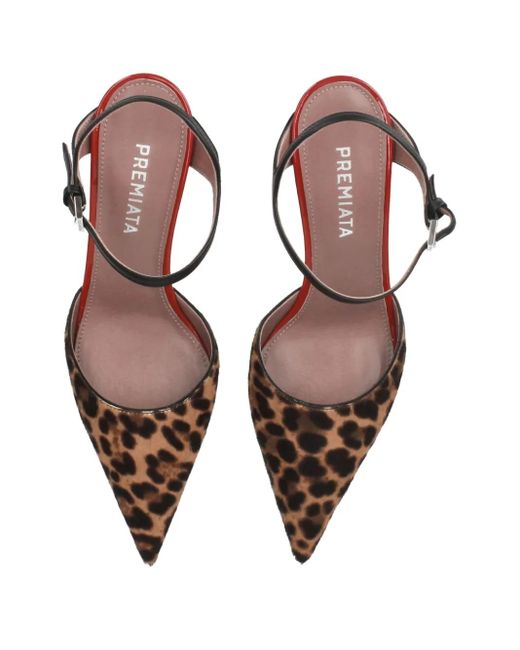 Premiata Brown Animalier Pumps