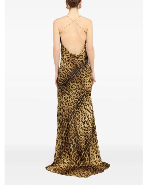 Roberto Cavalli Maxi-Jurk Met Luipaardprint En Col in het Metallic