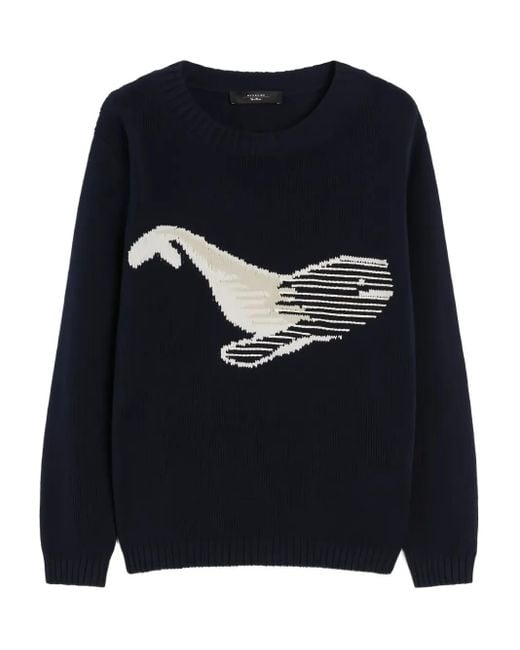 Weekend by Maxmara Nespola プルオーバー Blue