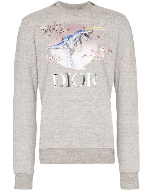 Dior Homme Sweatshirt mit Dino-Print in Gray für Herren