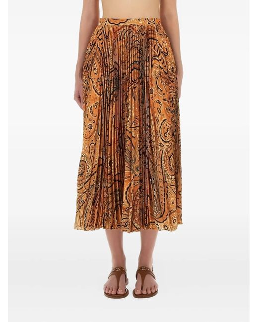 Etro Brown Pleated Sablé Skirt With Print