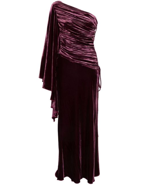 Maria Lucia Hohan Fluwelen Maxi-jurk in het Purple
