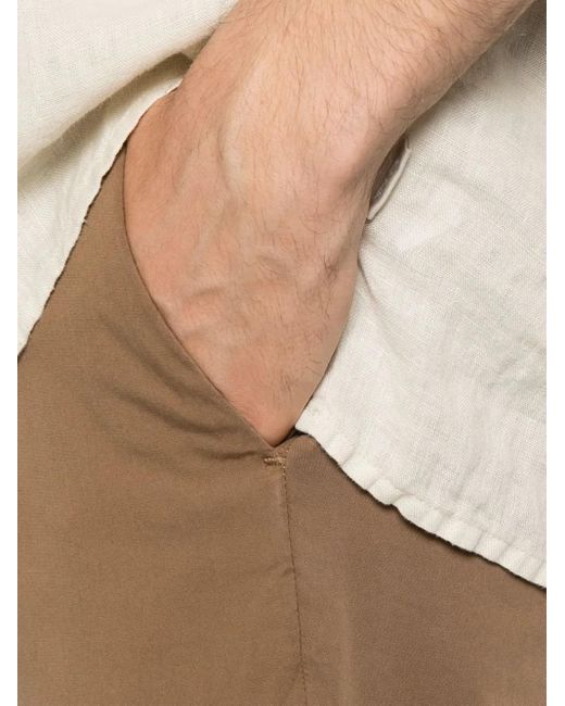 Briglia 1949 Brown Naviglio Chinos for men
